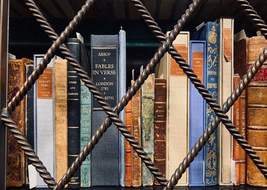 Books behind wire on a shelf in the Morgan Library.