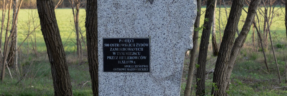 The memorial to the murdered Jews of Ostrow Mazowiecka is an irregular stone with a Star of David and a plaque. Flowers are laid at the base and several rocks sit on the top.