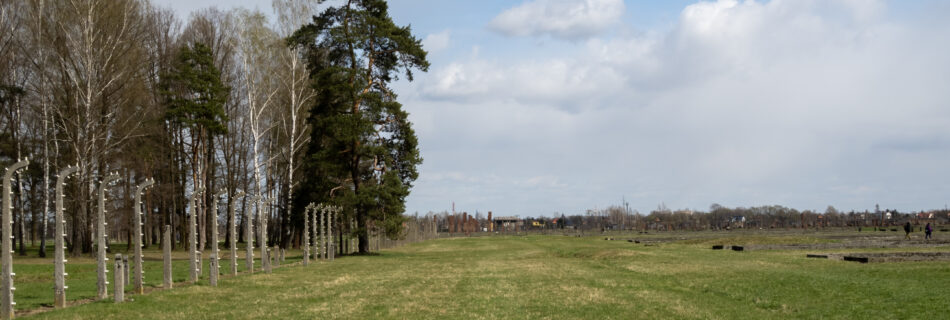 A field and trees in the Birkenau section.